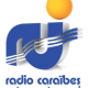 Logo rci